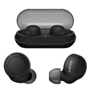 Sony WF-C500 Truly Wireless Earbuds